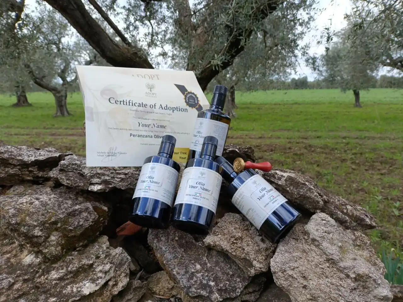 Reserve Kit Adoption